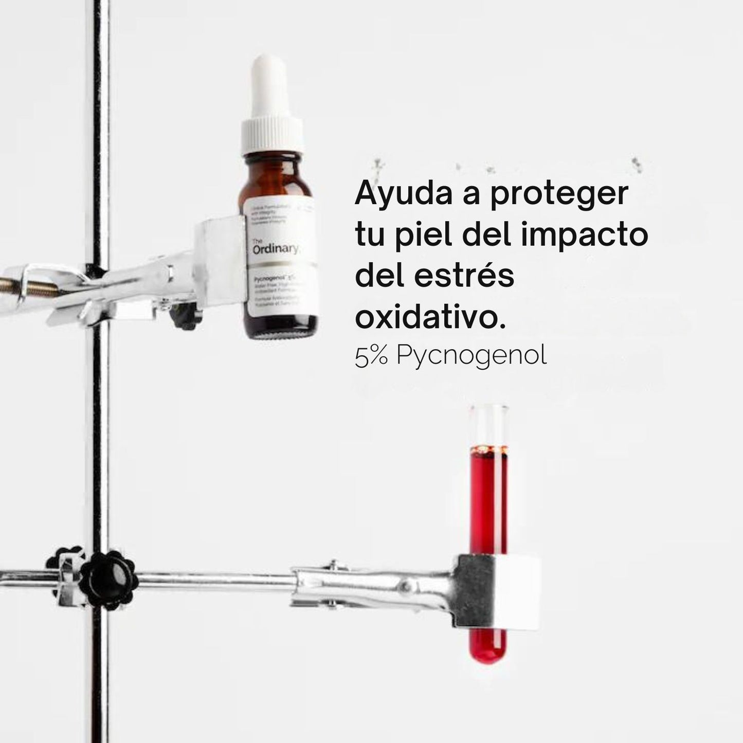 The Ordinary Suero Antioxidante Pycnogenol 5%